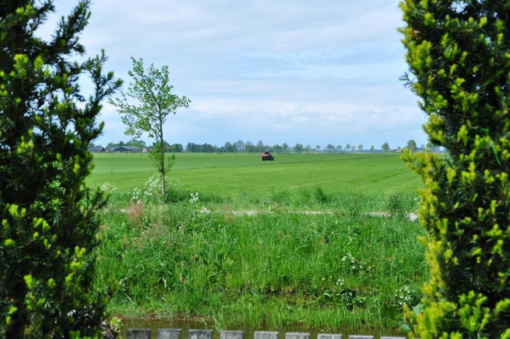 Beukenlaan Bed & Breakfast Rouveen Bagian luar foto